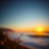 Surfline Bells Beach during sunrise