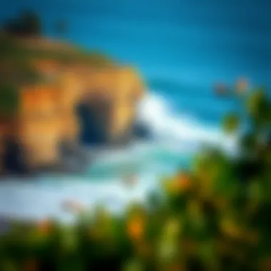 Nature's Beauty at Steamer Lane The natural beauty surrounding Steamer Lane with waves crashing against the cliffs