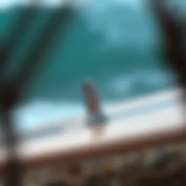 Exploring Surflock: A Comprehensive Guide to Surfboard Security Summary Exploring Surflock: A Comprehensive Guide to Surfboard Security Summary