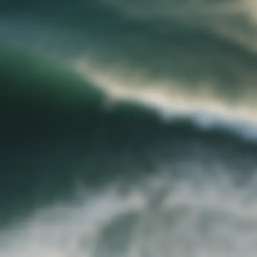 Aerial view of surfers riding waves on Florida's Atlantic coast.