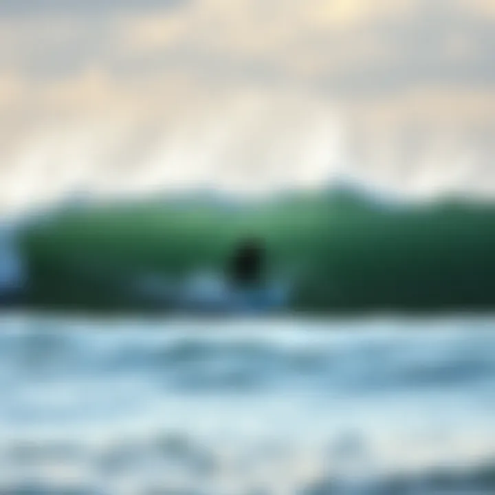 Exploring the Depths of Surfboarding Culture and Techniques Summary
