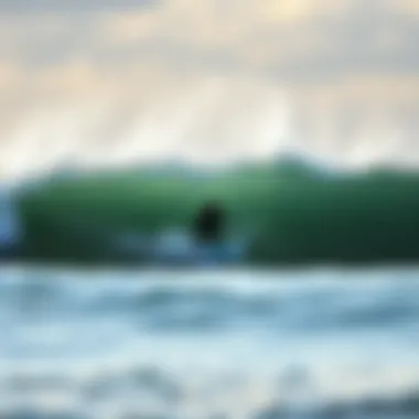 Exploring the Depths of Surfboarding Culture and Techniques Summary Exploring the Depths of Surfboarding Culture and Techniques Summary