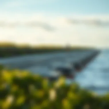 Diagram of a modern eco-friendly seawall design
