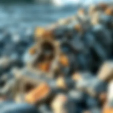 Cross-section view of a rock armor seawall demonstrating its structure