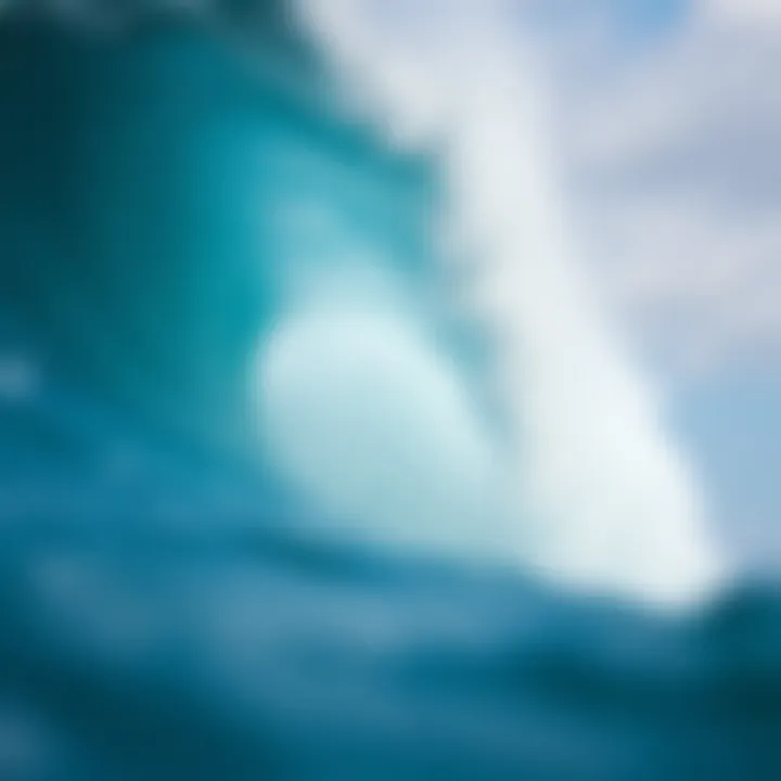 Exploring the Dynamics of Big Waves in Surfing Summary
