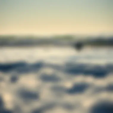 Peaceful Winter Surfing Scene Winter surf tranquility