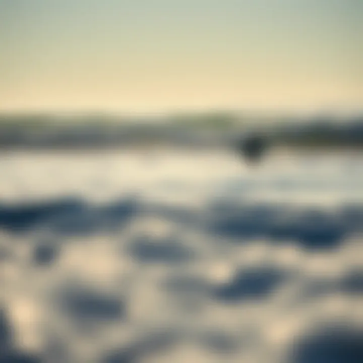 Peaceful Winter Surfing Scene Winter surf tranquility