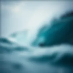 Exploring the Dynamics of Surf Parks Introduction