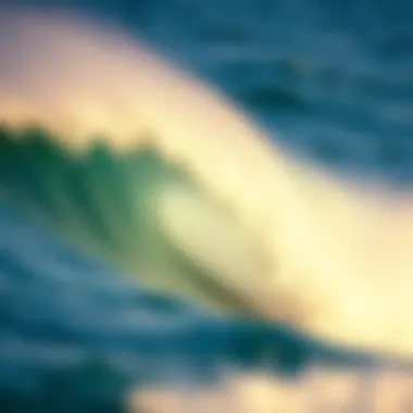 Exploring the Dynamics of Surf Parks Summary