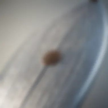 Close-up of a foil surfboard showcasing its intricate design and mechanics