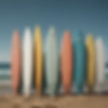 Comparison of Surfboard Types An illustration comparing traditional surfboards with foil surfboards