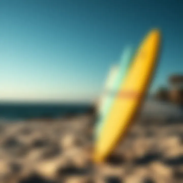 Surfboards on the Shore A close-up view of surfboards lined up on the sandy shore