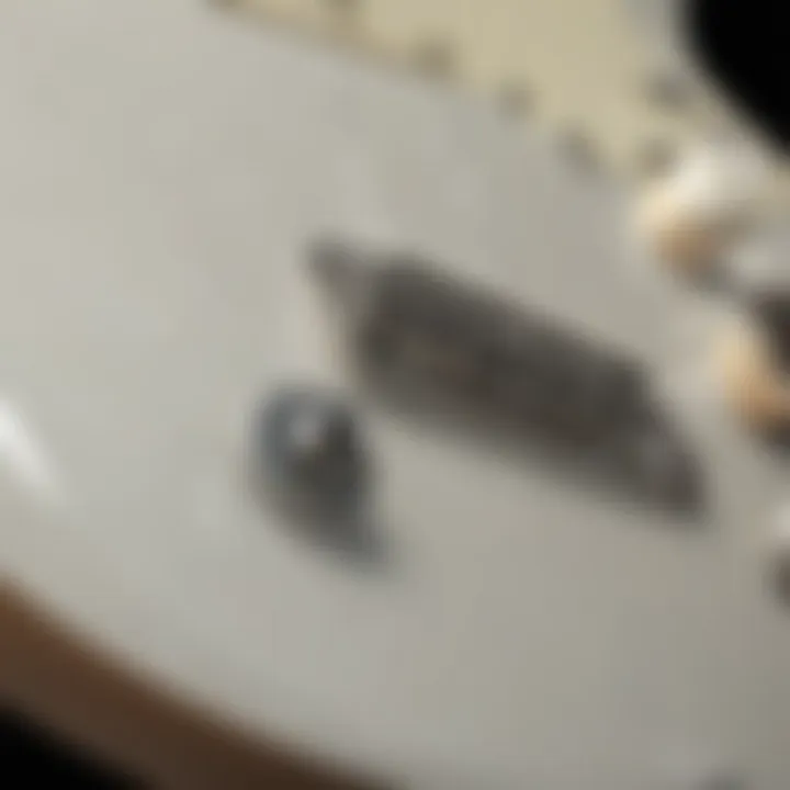 Detailed view of Fender Stratocaster Surf Pearl's hardware