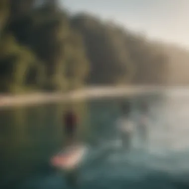 Paddle boarders enjoying a scenic view