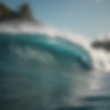 Diverse Swells Diverse swells creating ideal surfing conditions