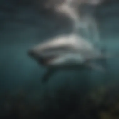 An underwater scene depicting a shark navigating through murky waters.