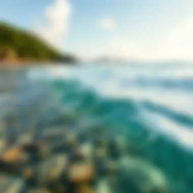 Eco-Conscious Surfing Environment Beautiful beach with clean water and vibrant marine life