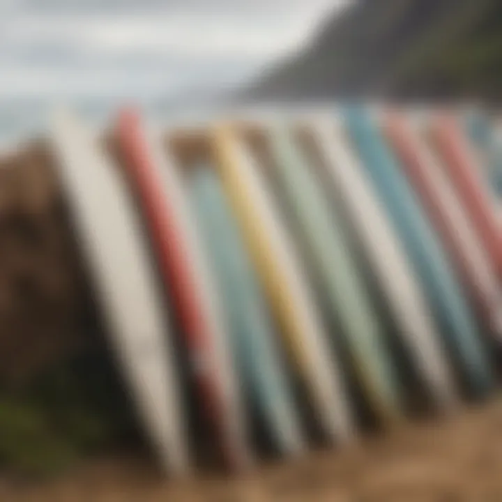 A close-up of surfboards lined up on the shore