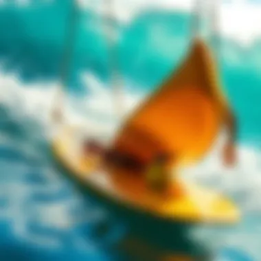 Exploring the Water Boards: A Comprehensive Guide for Surfing Enthusiasts Summary