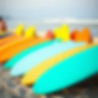 A Collection of Boogie Boards Colorful boogie boards lined up on the beach
