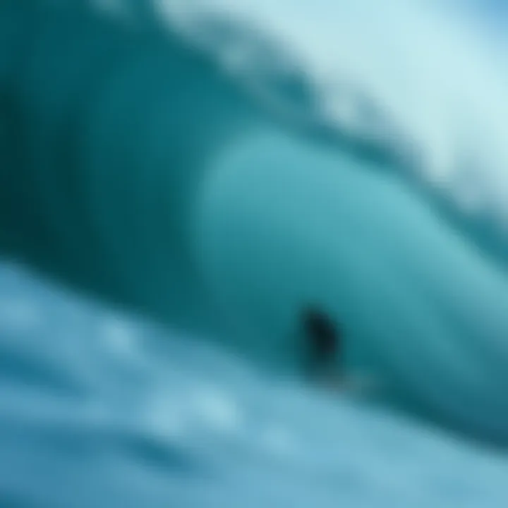 Notable Exploring the World of Jamie O'Brien: A Surfer's Journey
