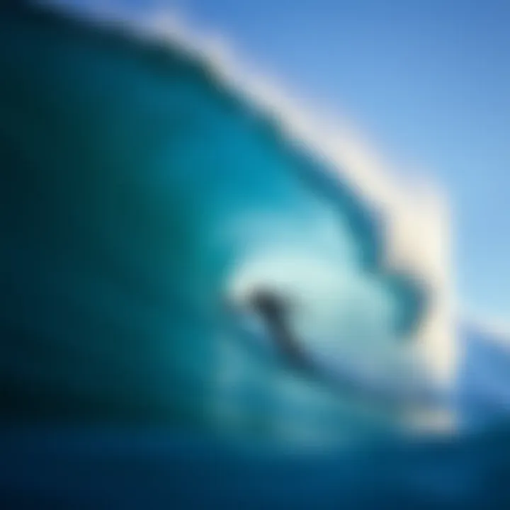 Exploring the World of Jamie O'Brien: A Surfer's Journey Summary