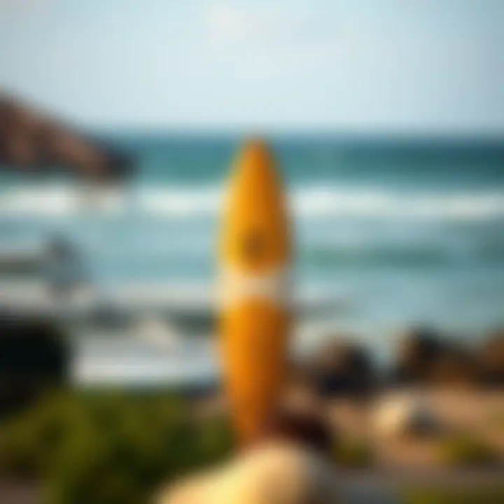 Town and Country Surfboards logo