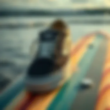 The Iconic Vans Sneakers on a Surfboard Vans sneakers on a surfboard