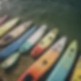 A collection of wakesurf boards showcasing different shapes and sizes.