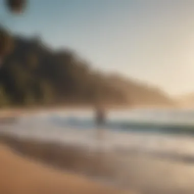 A beach scene with beginners practicing surfing on their boards.