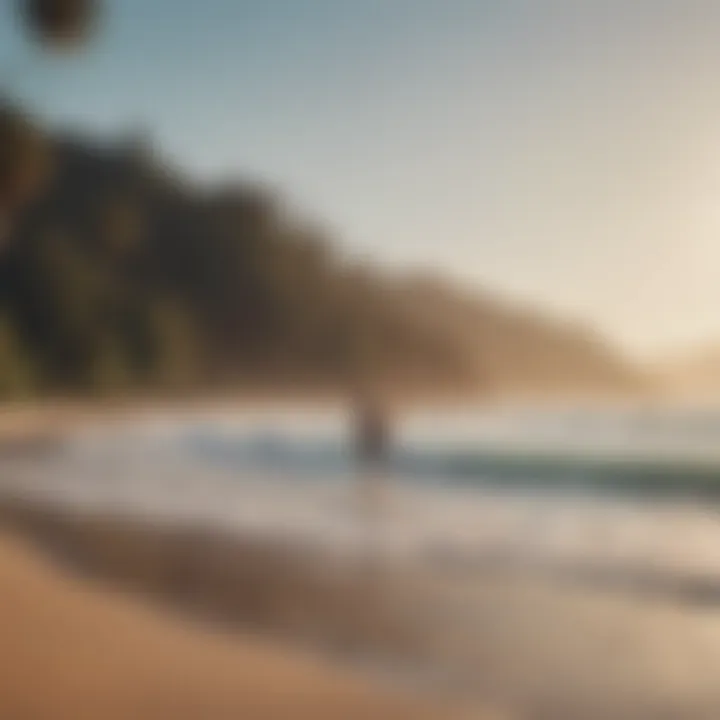 A beach scene with beginners practicing surfing on their boards.