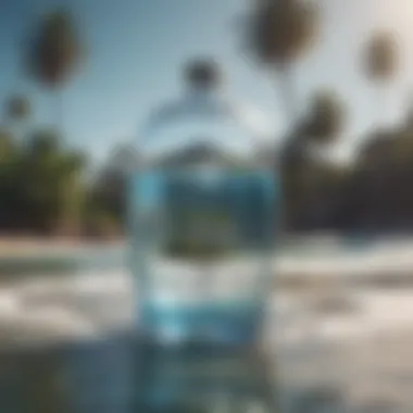Innovative Water Purification for Sustainable Living An innovative water purification technology
