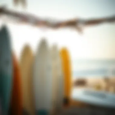 Surfboards Ready for Adventure on the Beach Surfboards lined up on the beach ready for action