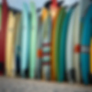 Diverse Surfboard Selection Various types of surfboards lined up on a beach