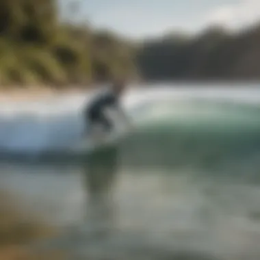 Surfing lesson in action at Lapoint Surf Camp