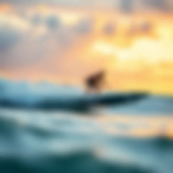 Mach 7 SS: Exploring Speed in Surfboarding Technology Introduction