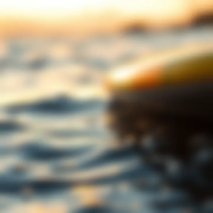Overview of different materials used in crafting non-inflatable paddleboards