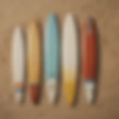 Diverse Surfboard Types Different types of surfboards displayed on a sandy beach