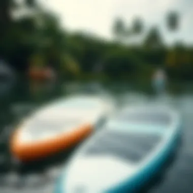 Non-Inflatable vs Inflatable Paddleboards Comparison of non-inflatable and inflatable paddleboards in a serene environment