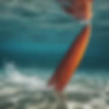 A swimmer testing fins in clear ocean water