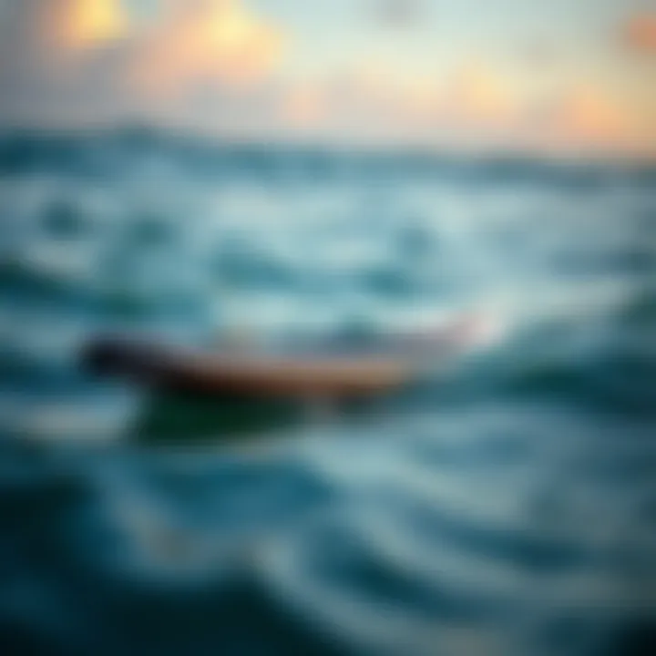 Top-rated inflatable paddleboard in action