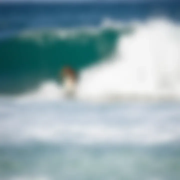 Notable Optimizing Your Surfing Experience with Catch Surf Funboards