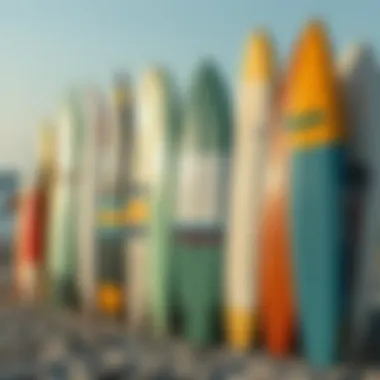 A variety of surfboards lined up on the beach