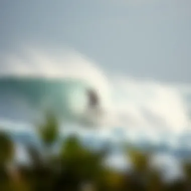 Environmental Efforts Environmental efforts in surf culture