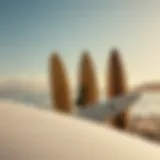 Surfing lifestyle representation with surfboards