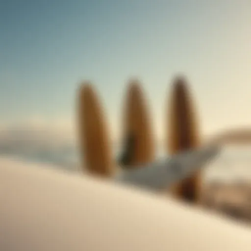 Surfing lifestyle representation with surfboards