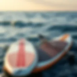 An overview of different stand up paddle boards on the ocean