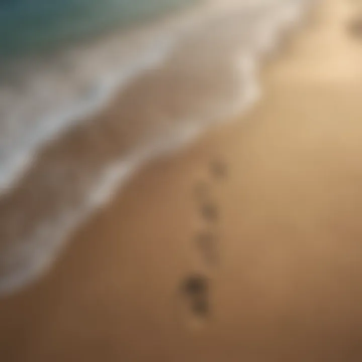 Footprints leading to the ocean at South Padre Island, symbolizing the journey of surfers