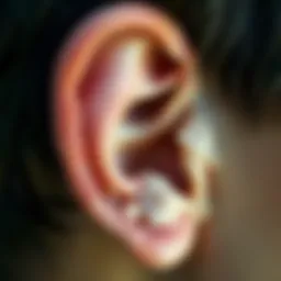 Anatomy of the ear focusing on the inner structure