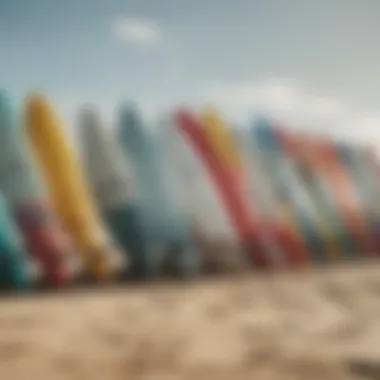 Surfboards lined up on the beach ready for use